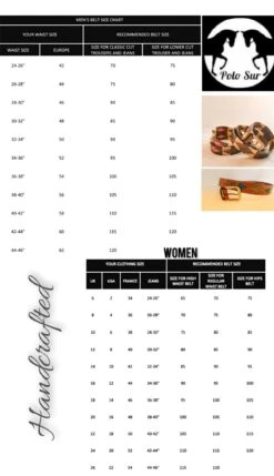 Polo Sur POLO Belt - UNICO 7 Polo Sur POLO Belt - UNICO -Ariat || Lemieux || PÉNÉLOPE Shop 1934795698