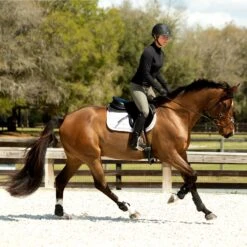 Equinavia Maud Women's Full Seat Breech - SAGE OLIVE 5 Equinavia Maud Women's Full Seat Breech - SAGE OLIVE -Ariat || Lemieux || PÉNÉLOPE Shop 64999613 a366 416c 9feb 1c3fb3788364E36007 SOGR 17f38f5bc375f6f1918c2161373f68242e8839bc