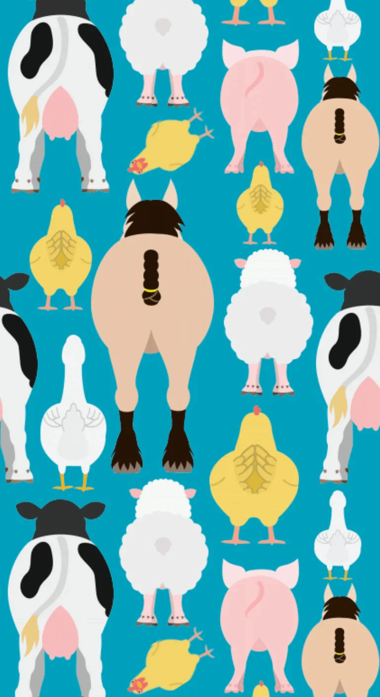 Dreamers & Schemers Boot Sock - Farm Butts 2 Dreamers & Schemers Boot Sock - Farm Butts - Image 2