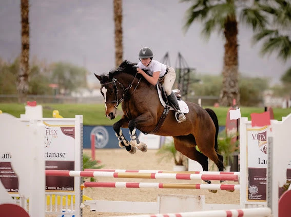 TKEQ SLOAN Short Sleeve Competition Top - WHITE 6 TKEQ SLOAN Short Sleeve Competition Top - WHITE - Image 6