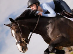 TKEQ Kennedy Seamless Long Sleeve 2.0 - MIAMI -Ariat || Lemieux || PÉNÉLOPE Shop image ecc9a59b 4160 4db6 9887 8ae54e0cc82d