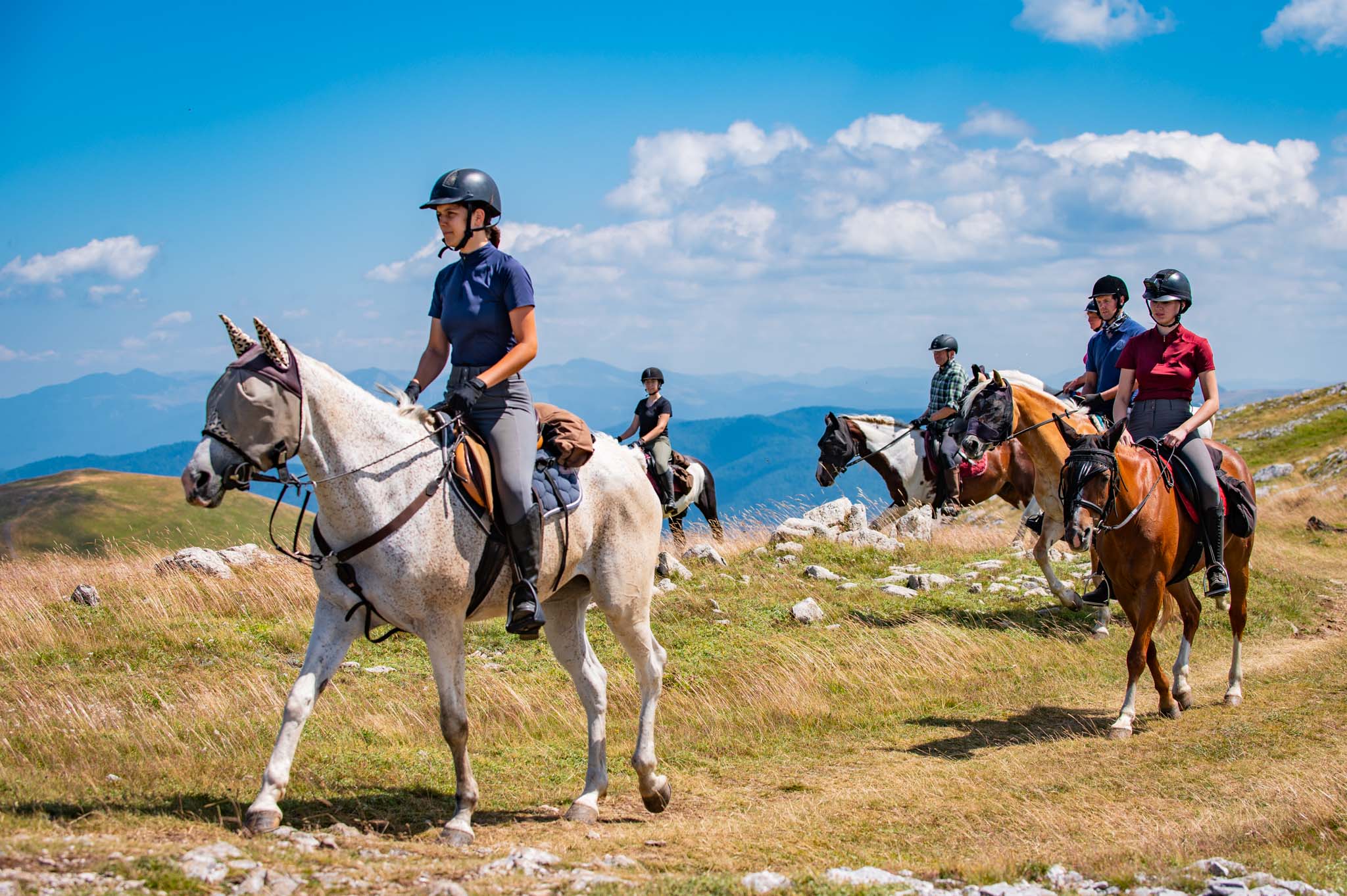 Ariat || Lemieux || PÉNÉLOPE Shop 3 Ariat || Lemieux || PÉNÉLOPE Shop -Ariat || Lemieux || PÉNÉLOPE Shop Full day ride